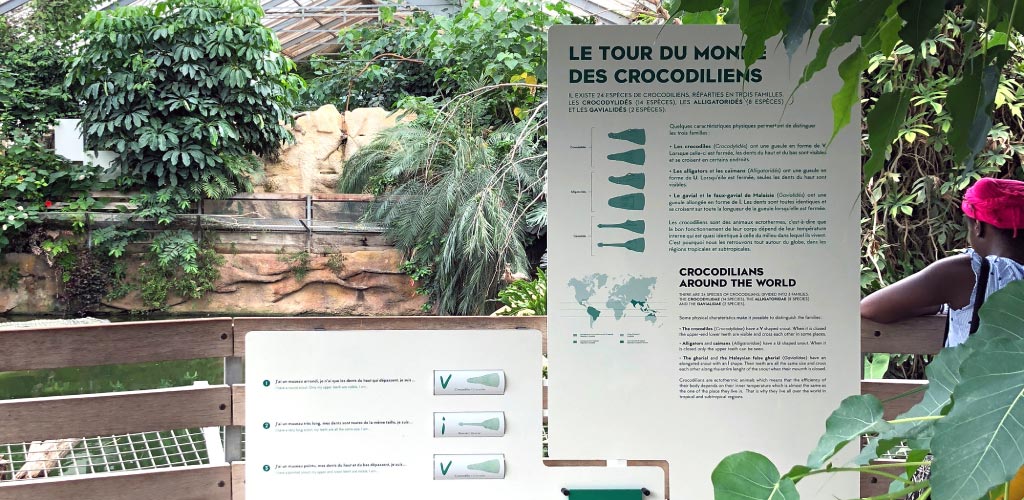Le tour du monde des crocodiles - manipe sur la différence entre les 3 familles de crocodiliens