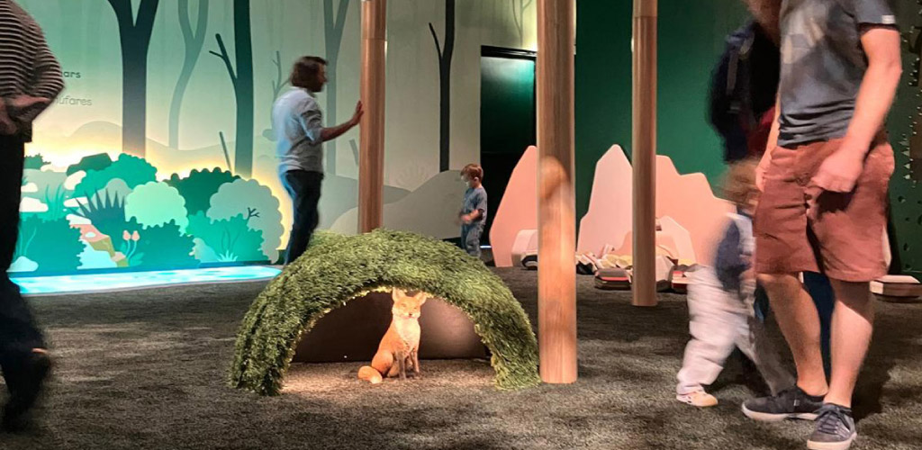 Cité des enfants 2-6 ans